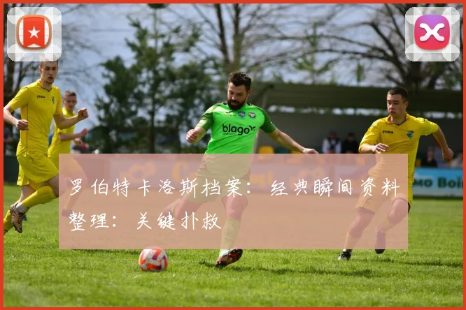 罗伯特卡洛斯档案:经典瞬间资料整理:关键扑救